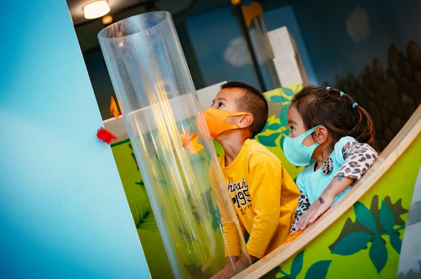 Two young children looking up as they make leaves fly out of a clear plastic tube in a play area designed especially for toddlers and infants
