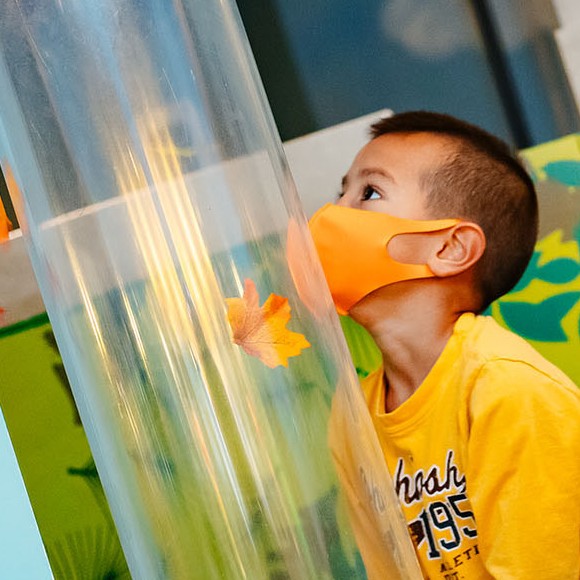 Young child looking up as they make leaves fly out of a clear plastic tube in a play area designed especially for toddlers and infants